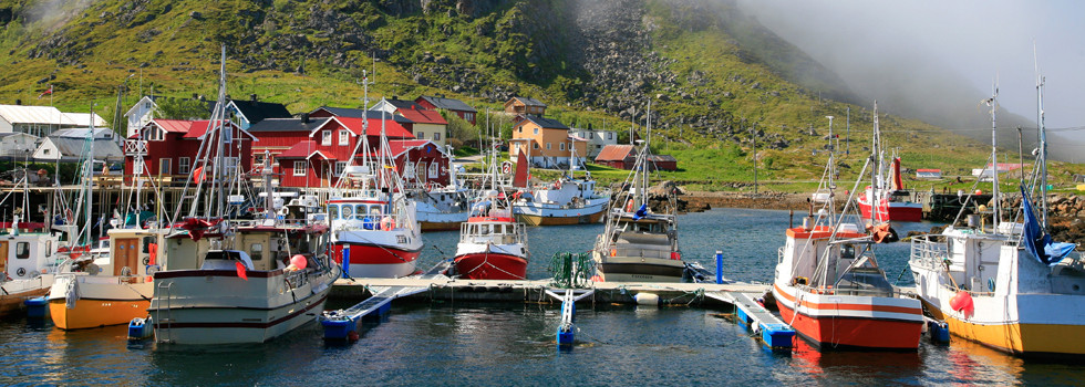 Fischerboote im Hafen, Lofotenreise