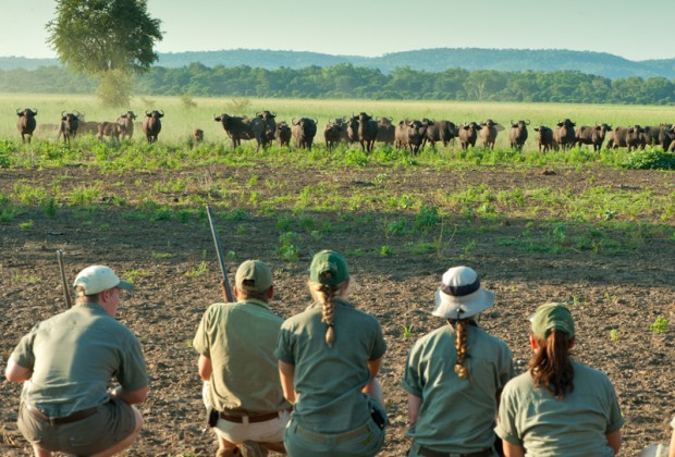 Lernen unterwegs, Ausbildung zum Safari-Guide